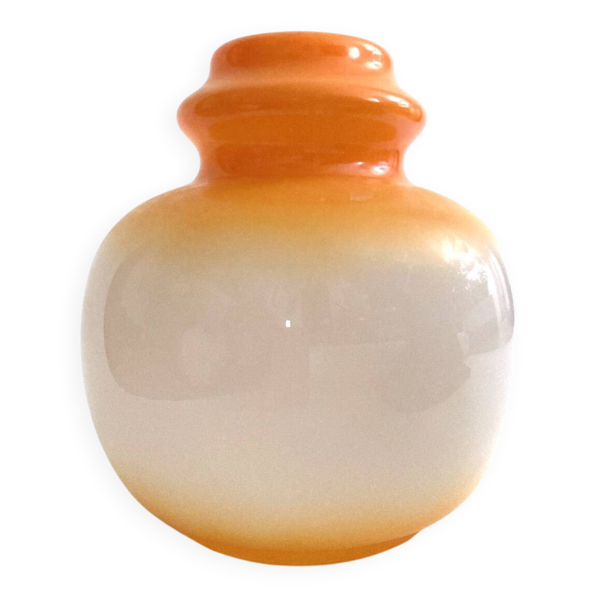 Globe en verre  suspension