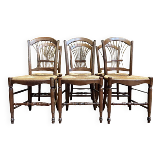 Suite de 6 chaises paillées provençales