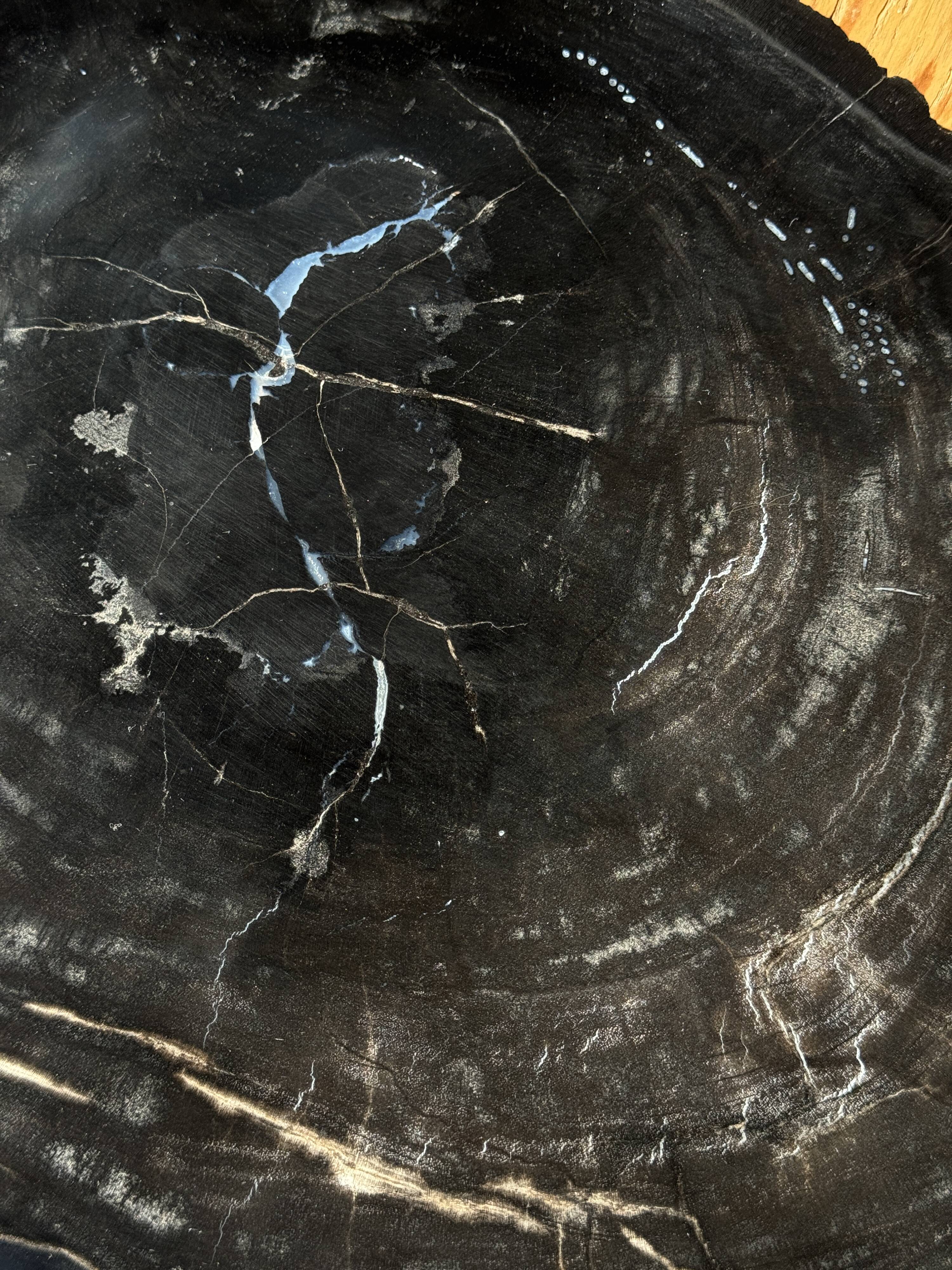 Very large black petrified wood tray or bowl D35