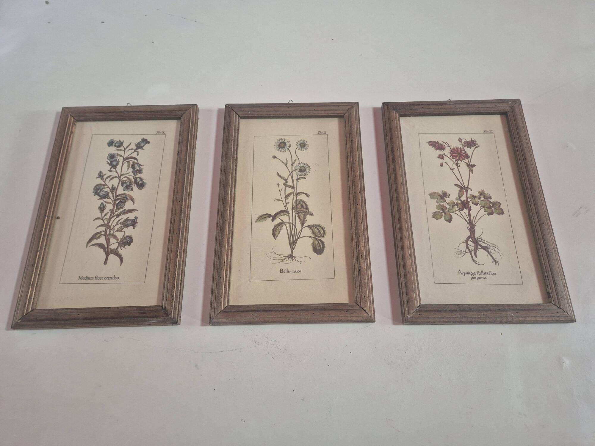 set of 3 vintage floral plant triptych posters