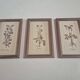 set of 3 vintage floral plant triptych posters