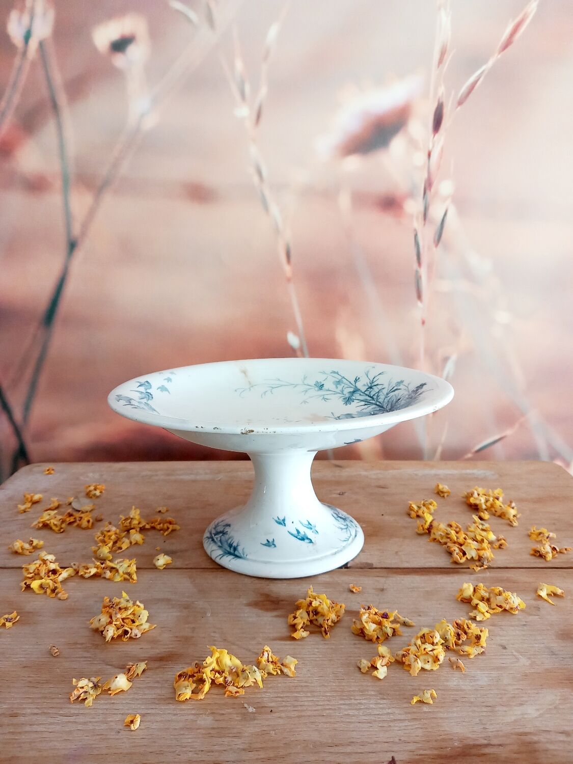 Compotier Giens Landscape Collection