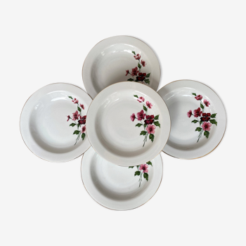 Set de 5 assiettes creuses en porcelaine