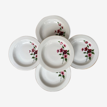 Set of 5 hollow porcelain plates
