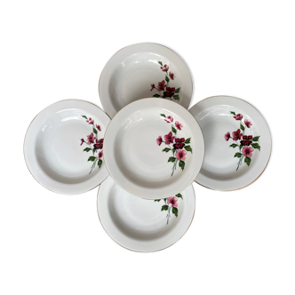 Set de 5 assiettes creuses en porcelaine