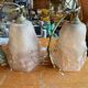 Pair of art deco silvered bronze wall lights with tulips signed ros