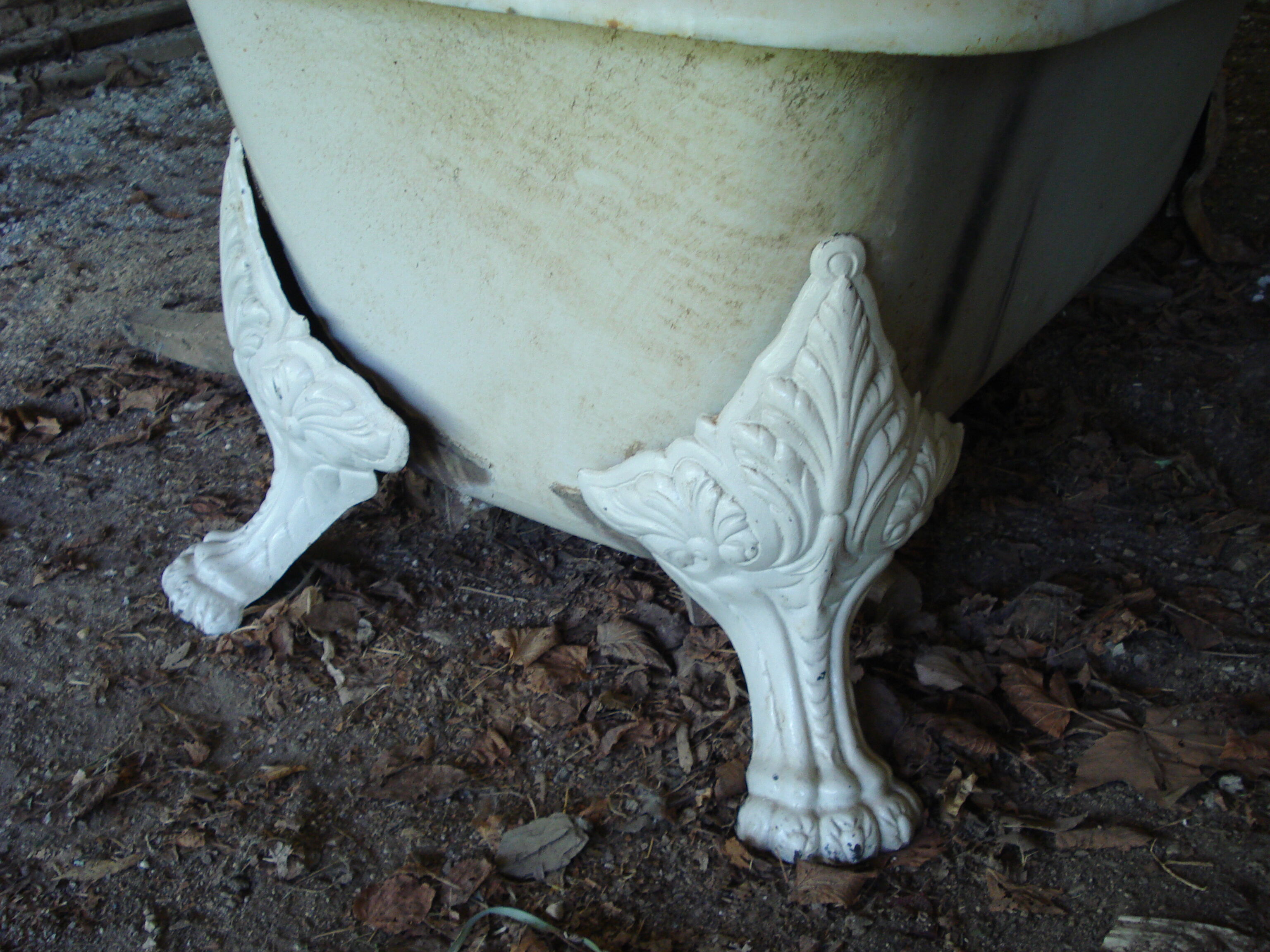 Cast iron lion's feet bathtub