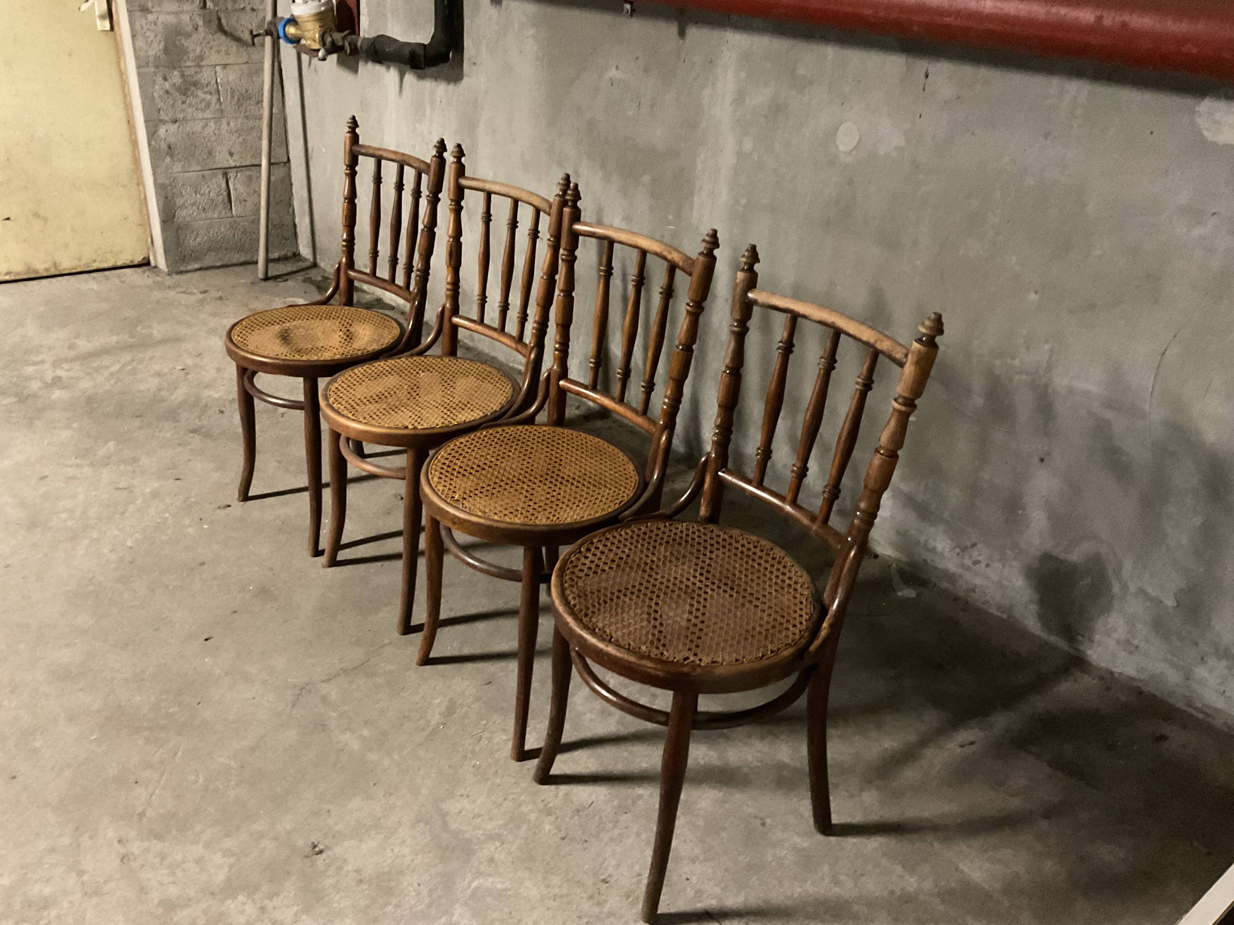 Fischel chairs, curved beech wood, from the years 1929/30.
