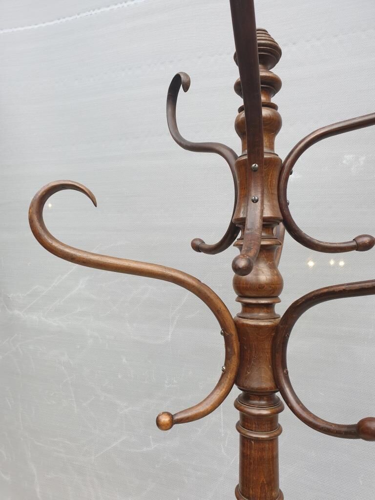 Fixed parrot rack bentwood Thonet 1900