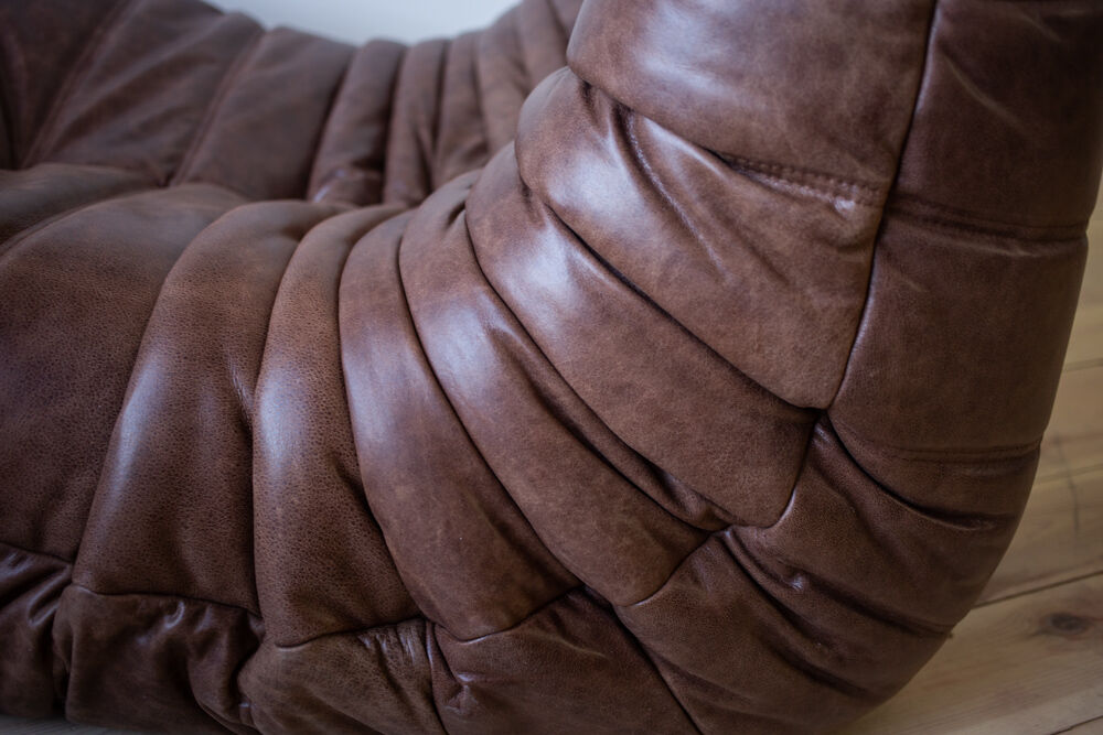 Sofa and pouf by Michel Ducaroy for Ligne Roset