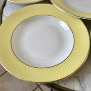 lot of 6 hollow plates Moulin des Loups textured canary yellow 50s