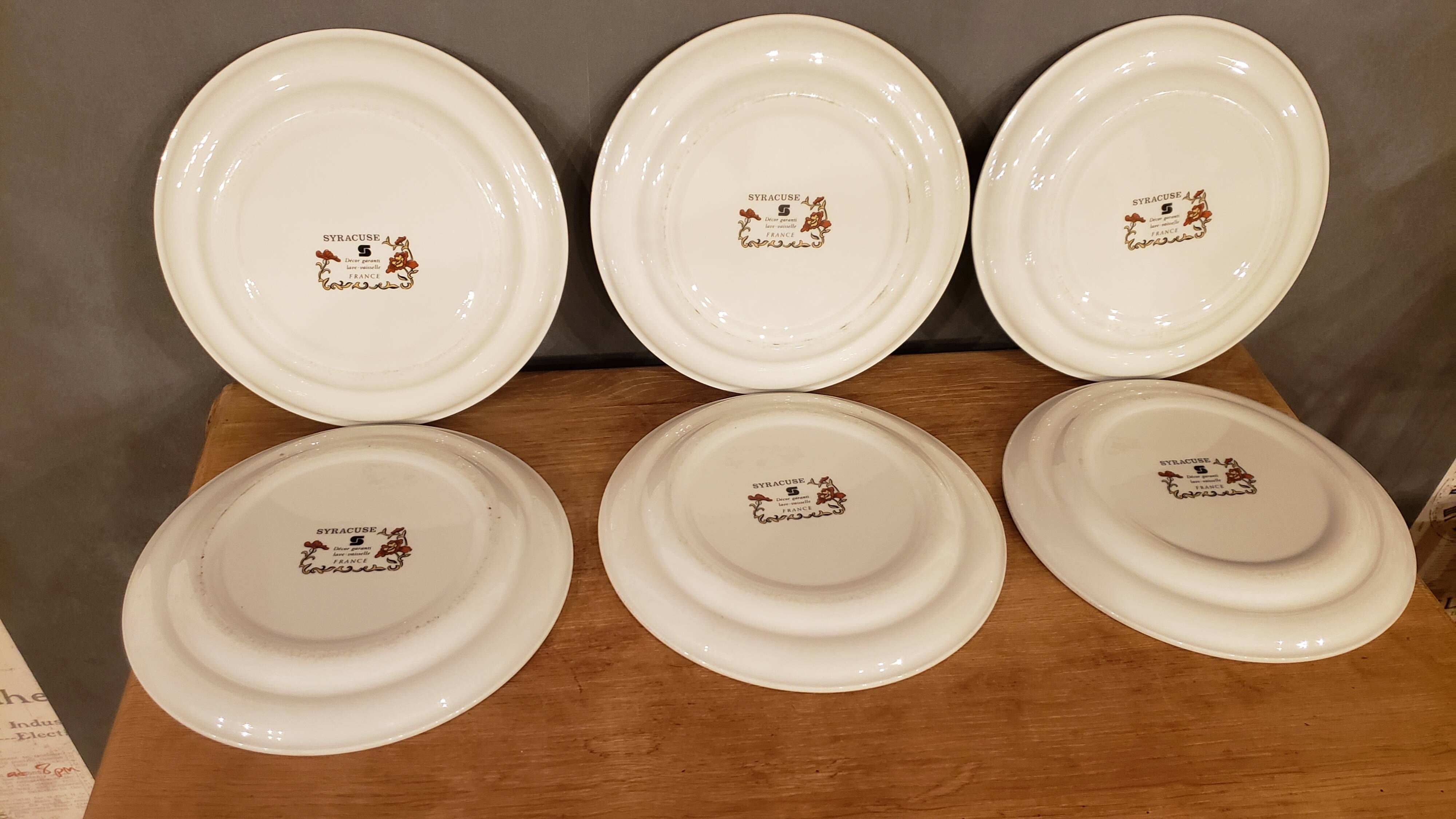 6 Syracuse Sarreguemines Flat Plates Flower Decor