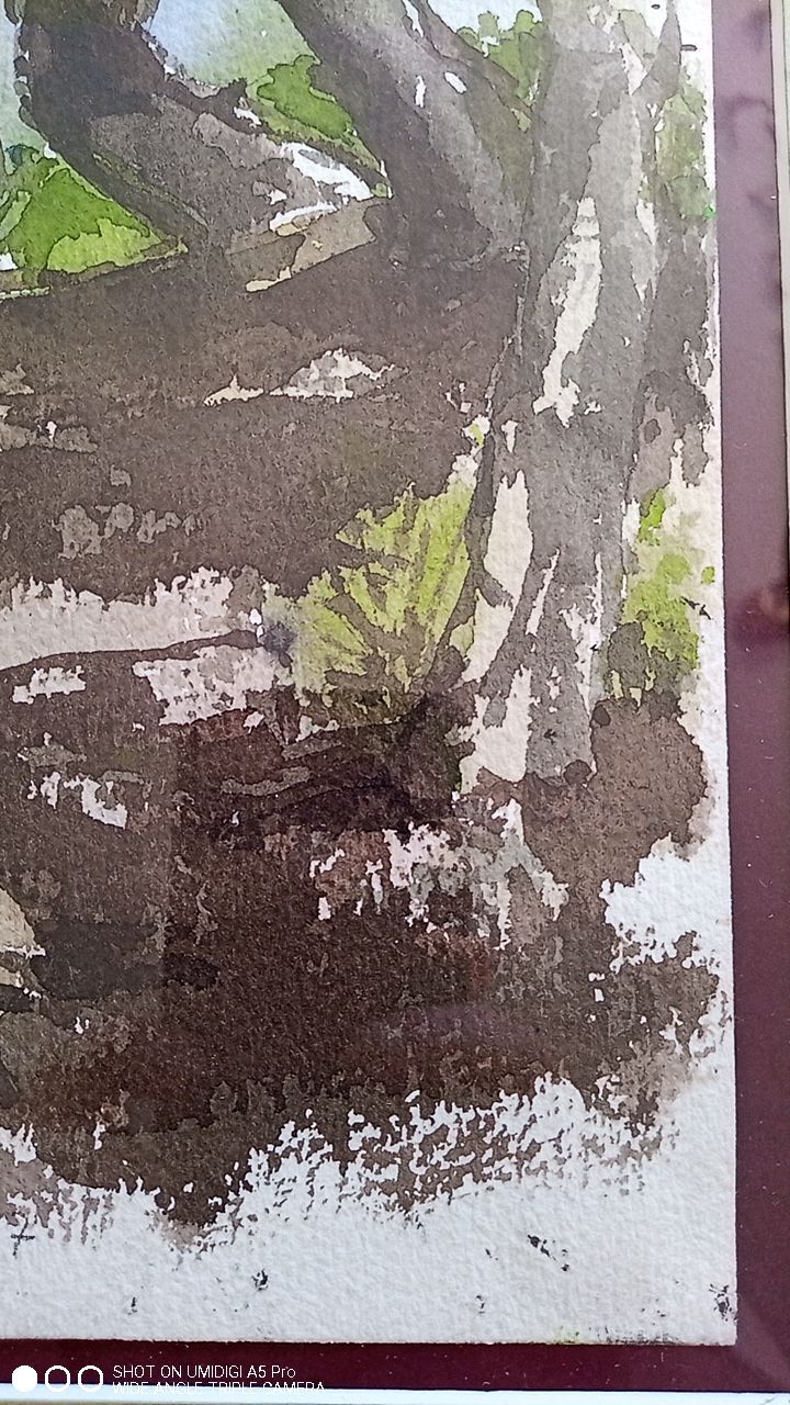 Pascale Rigat-Esselin (born 1952) - Watercolor - 35,5 x 26 cm - undergrowth, signed