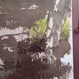 Pascale Rigat-Esselin (born 1952) - Watercolor - 35,5 x 26 cm - undergrowth, signed