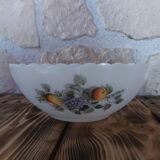 Salad bowl Arcopal Fruits of France
