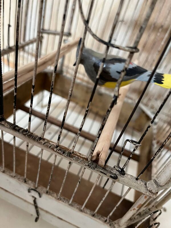 Cage à oiseaux