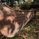 '30s mahogany canoe