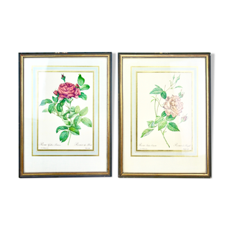 Vintage botanical poster, art print rose by P.J. Redouté, Set of 2