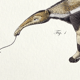 Lithography engraving vintage chimeras - 1850