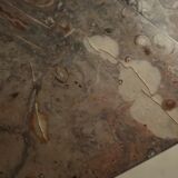 Fossil Stone Pedestal Coffee Table, France, 1970's