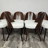 Dining Chairs by Antonin Suman, 1960s, Set of 8