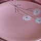 Longchamp France dinner set
