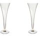 Set Esclusivo 2 Calici Champagne Veuve Clicquot "La Grande Dame" – Con Conf