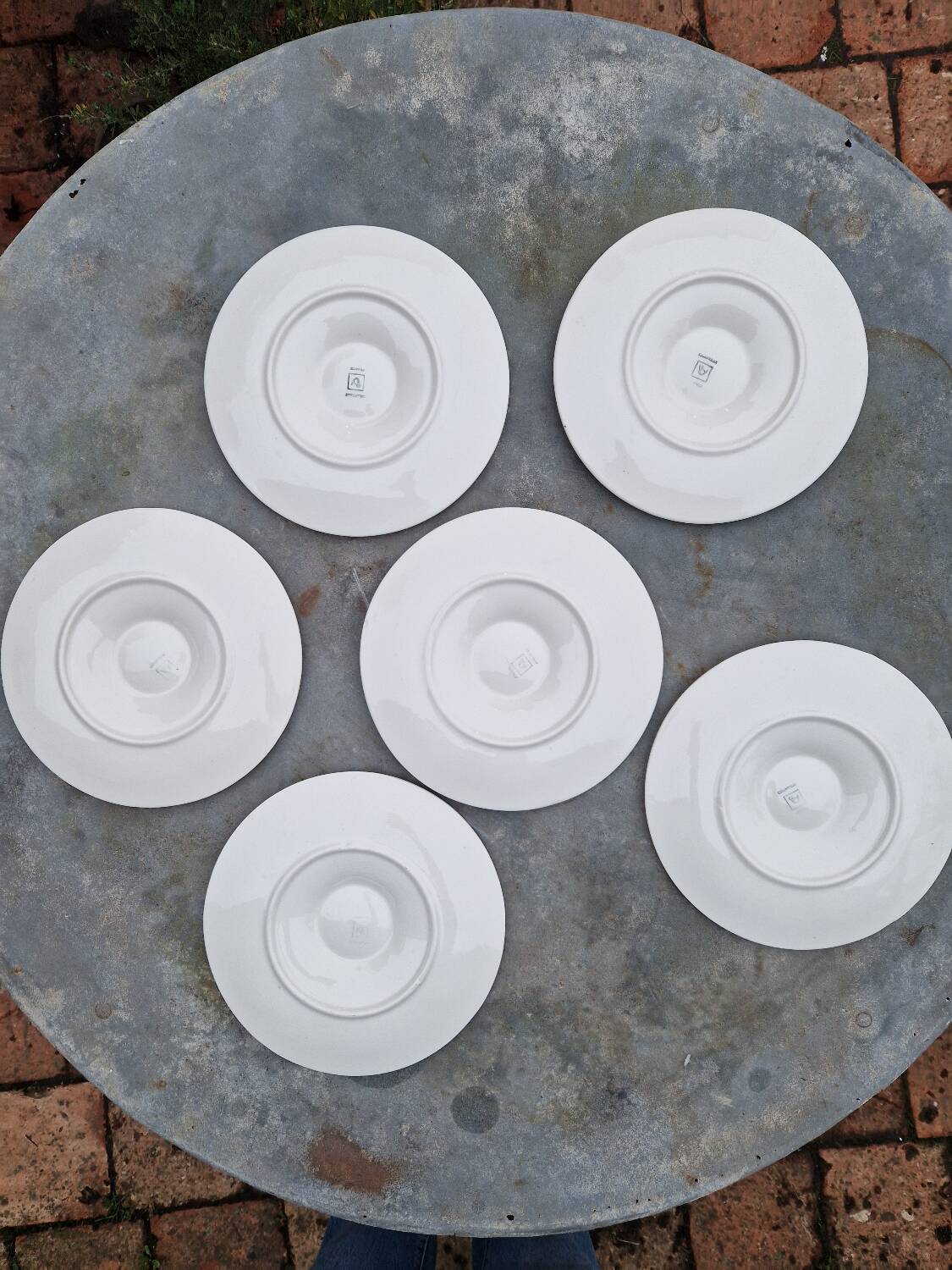 Set of 6 oyster plates with shells in white earthenware