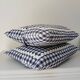 Set of 2 vintage cushions, blue gingham