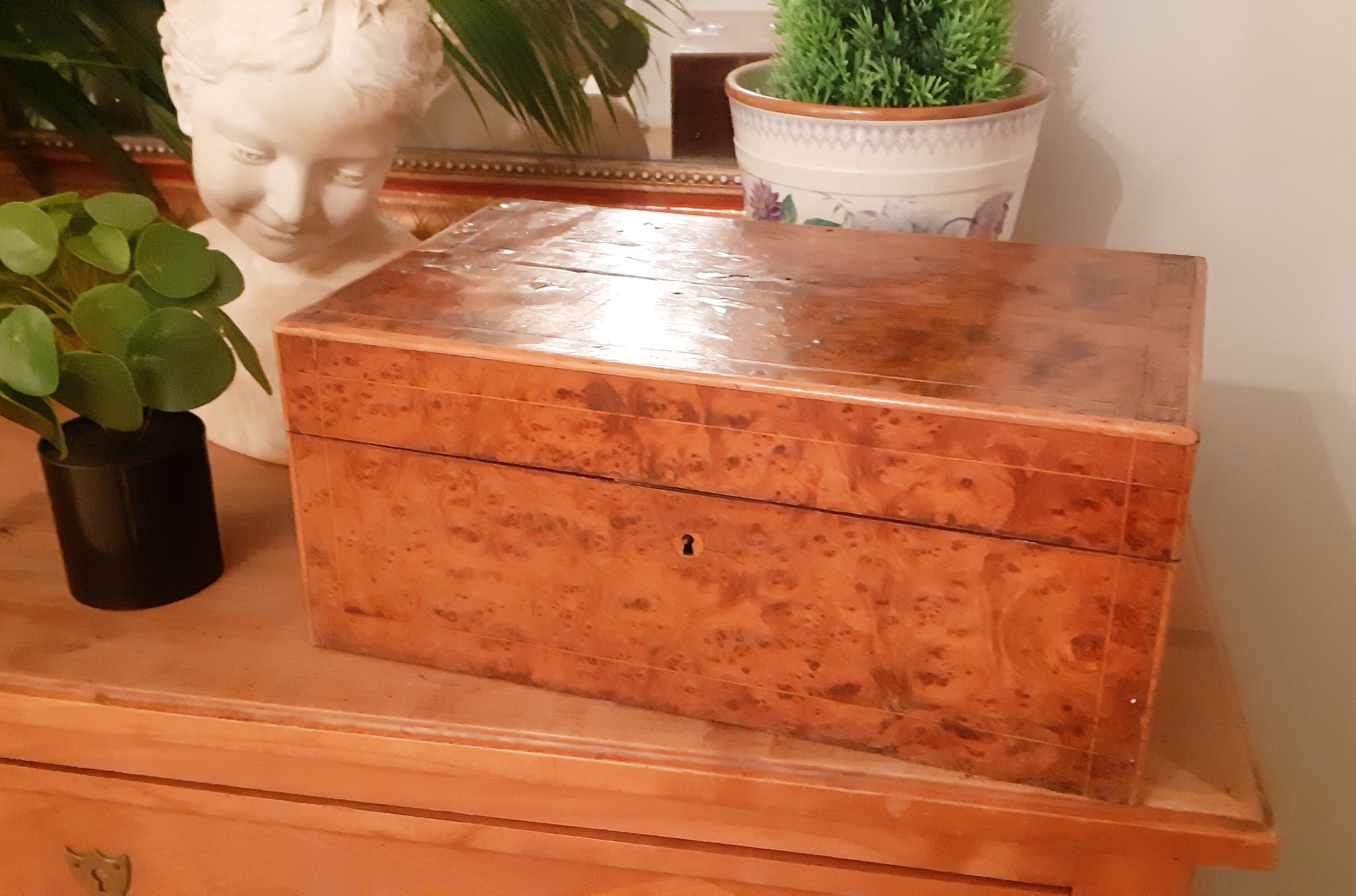 Napoleon III elm magnifying glass box