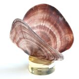 Shell on resin base, 70s