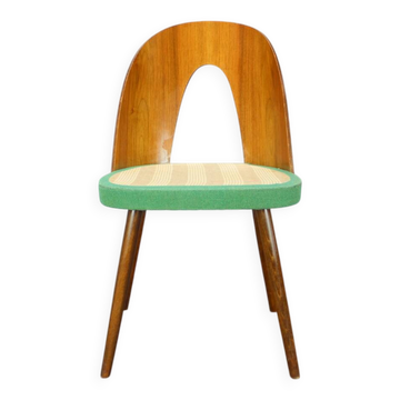 Chaise Antonín Šuman pour Tatra Nábytok, Tchécoslovaquie, environ 1960