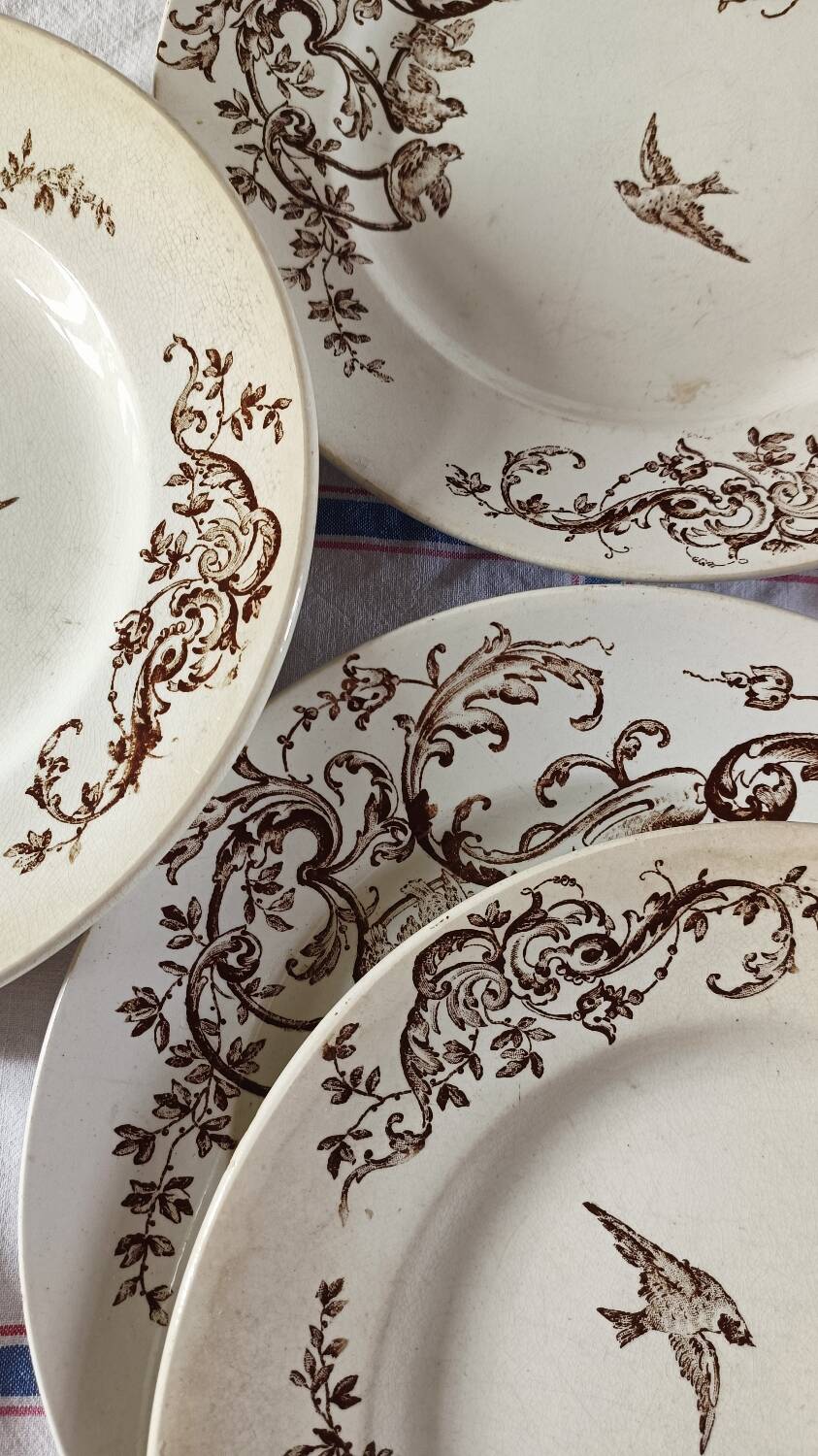 Brown bird flat plates