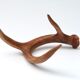 Bois de chevreuil, cabinet de curiosités, vintage