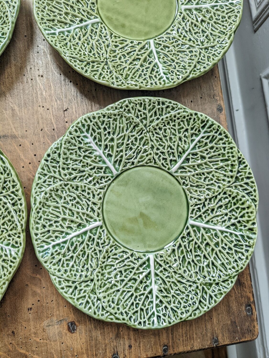 6 cabbage plates