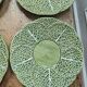 6 cabbage plates