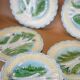Old asparagus plate X 5, French slushie plate Salins-les-bains