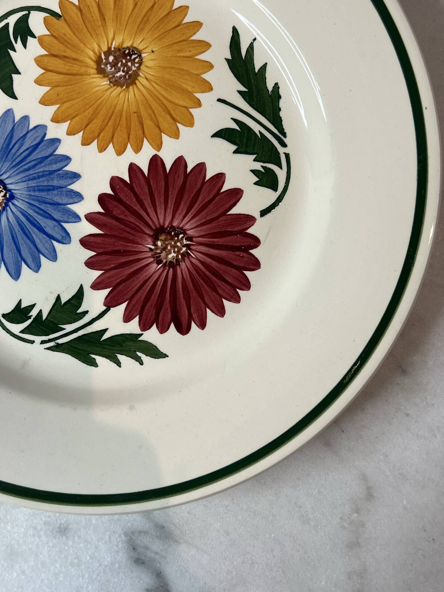 Set of 6 Chalons plates Digoin Sarreguemines with painted floral decoration.