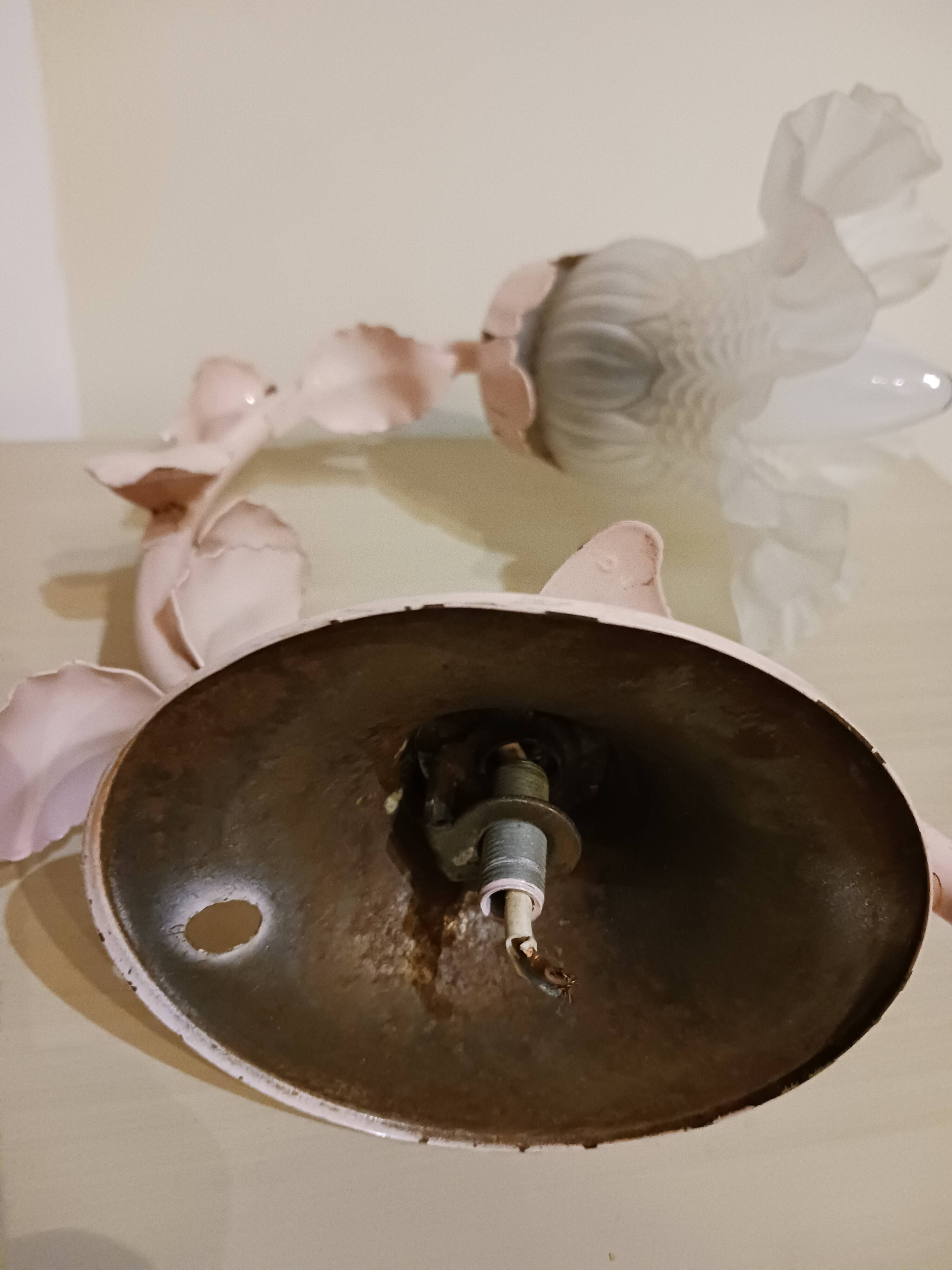 Antique wall lamp, tulip.