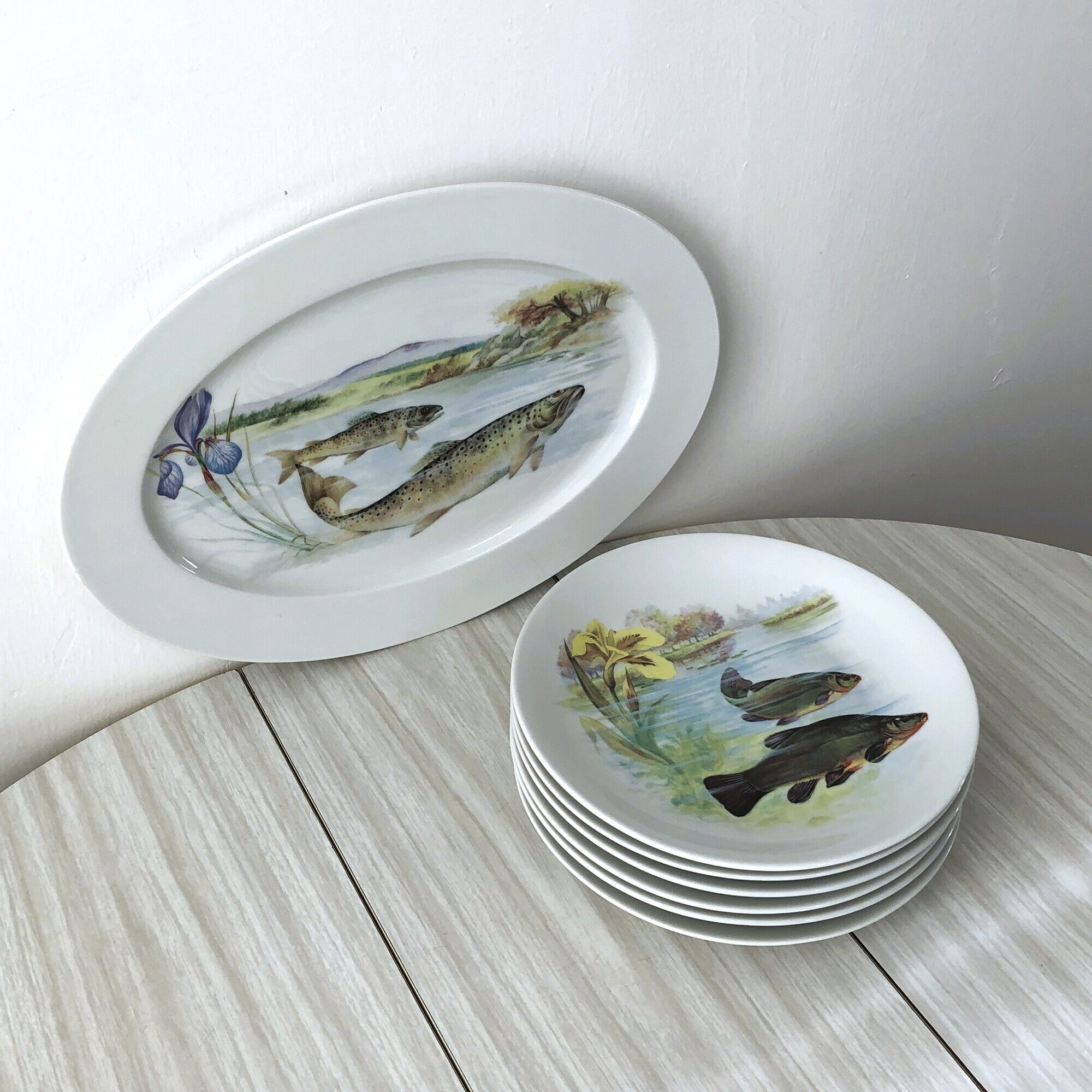 6 plates and 1 fish dish in Limoges porcelain. Freshwater Fish Patterns Service