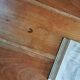 Restored farmhouse desk/table