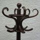 Old curved wood parrot coat holder
