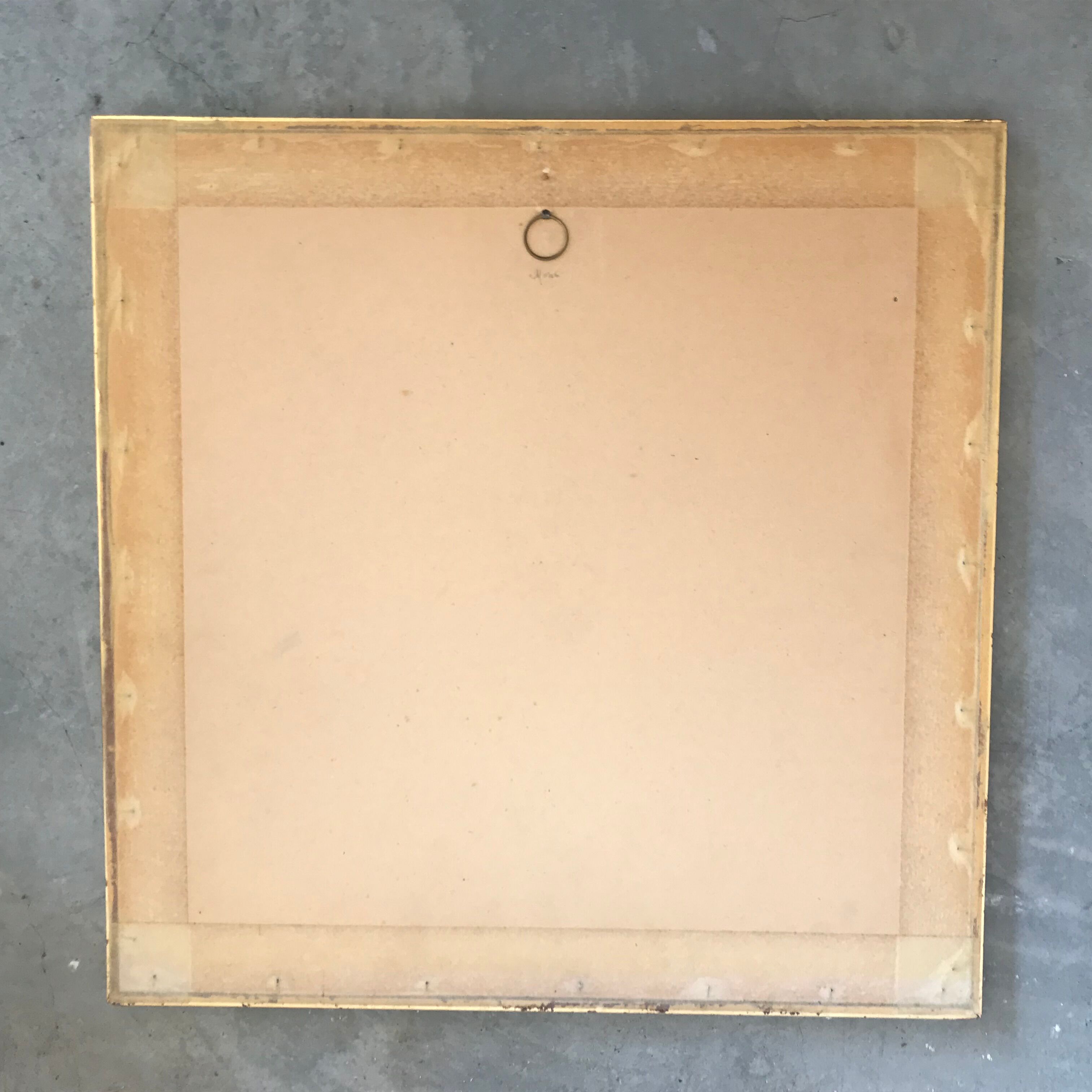 Frame under glass butterfly wings