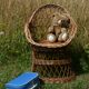Children's wicker armchair