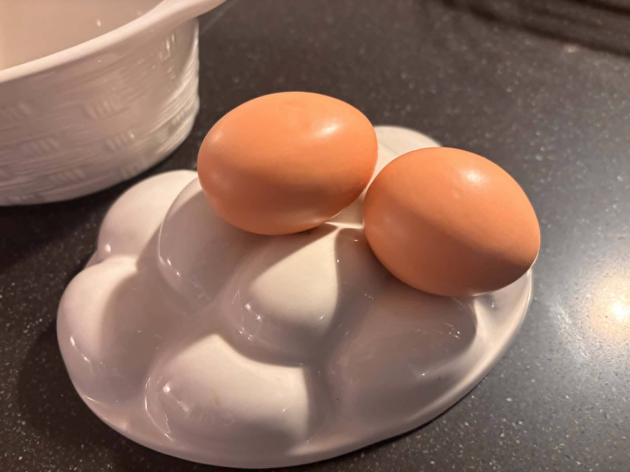 Ceramic egg terrine