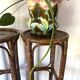 Vintage rattan bar stools or plant holder