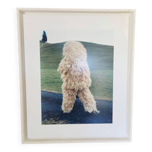 Estelle Hanania, tirage