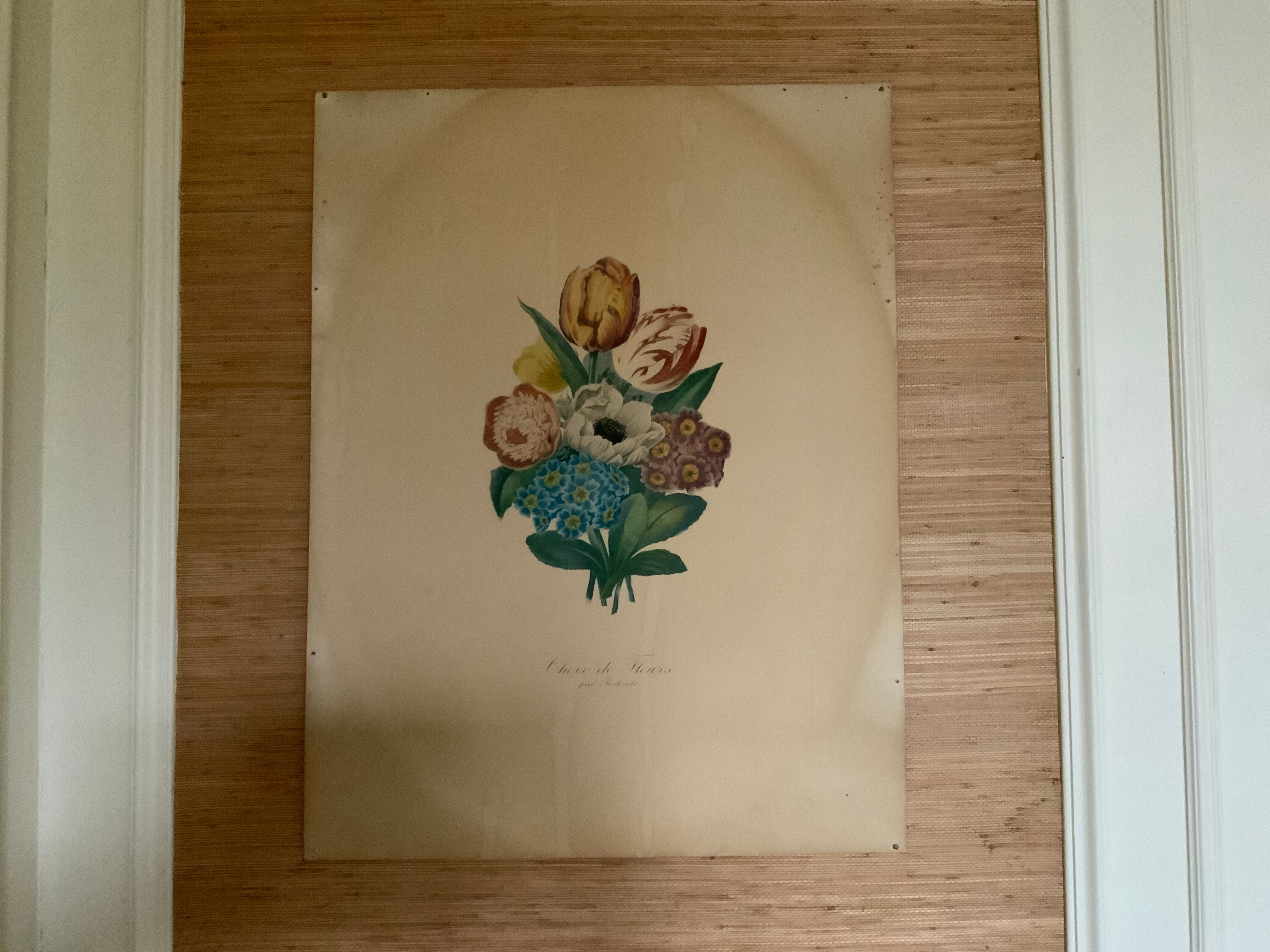 Pair of plates or botanical engravings XVIII
