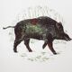 Boar dish