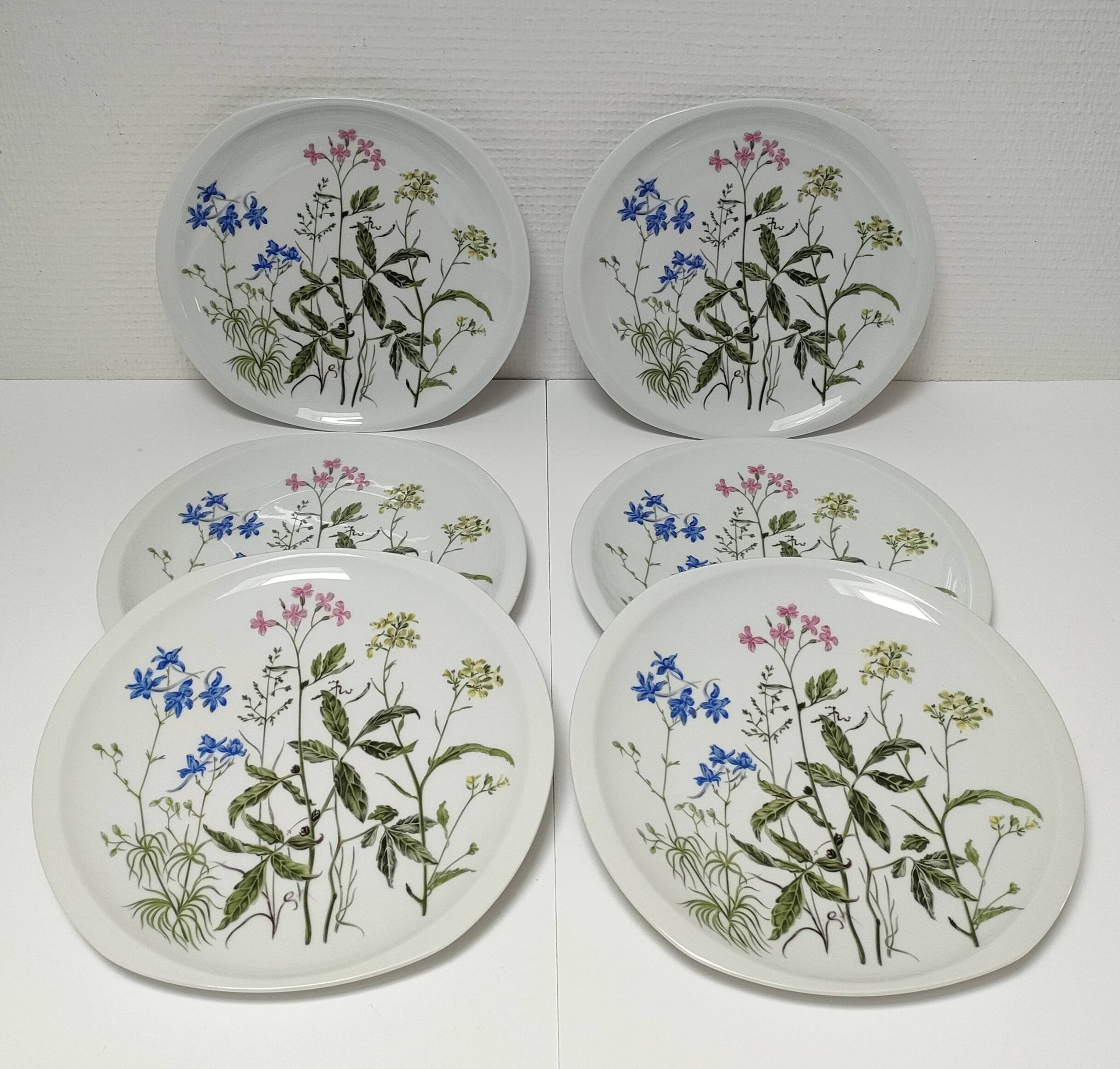 Six flat plates Alcée model porcelain Bernardaud Limoges floral decoration